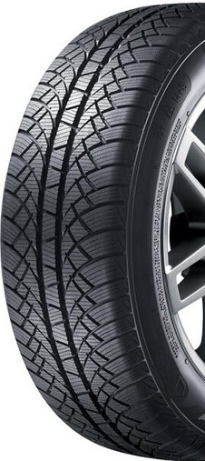 Anvelope Iarna 185/65R15 Sunny NW611 88T