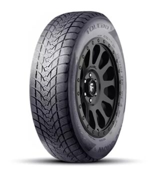 Anvelope Iarna 225/55R16 Tercelo Bluesnow 99V